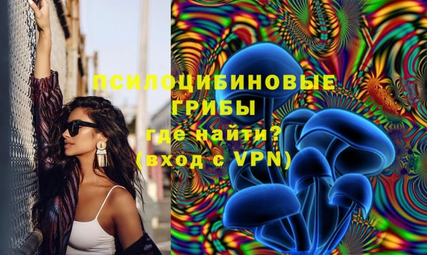 бошки Абдулино