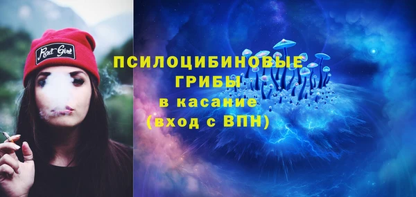 бошки Абдулино