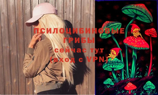 дмт Абинск