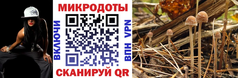 Псилоцибиновые грибы Psilocybine cubensis  купить закладку  Абаза 